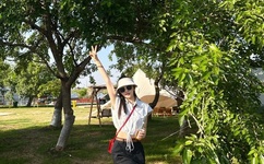 野花日本大全免费2019